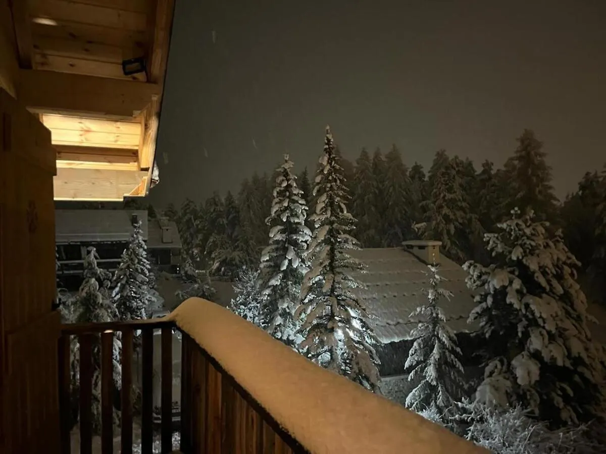 Luxueux Chalet Avec Terrasse Auron Saint-Etienne-de-Tinee